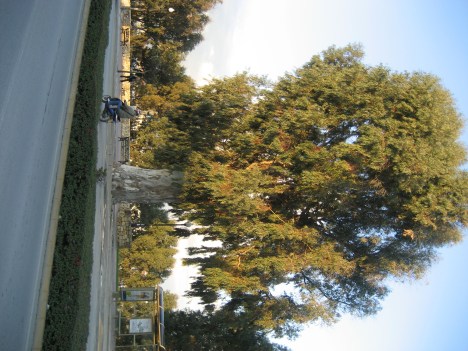 Escapetero de getares