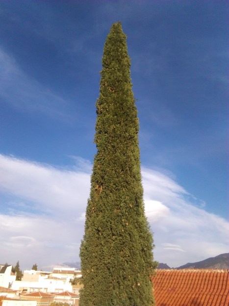 Ejemplo de delirios verticales